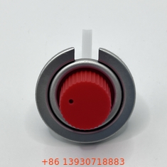 دریچه راست استیم نوع دریچه اجاق گاز قابل حمل عمده فروشی 1/4 اینچ NPT Thread Outlet