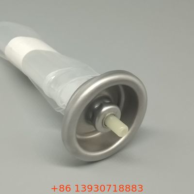 سیستم نوآورانه کیسه-در-دریچه برای اسپری های آئروسل مواد غذایی و آرایشی